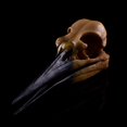 thumbnail image 4 of Abbracc Artificial Realistic Animal Model Head Skeleton f/ Club Pub Decoration 9, 4 of 9