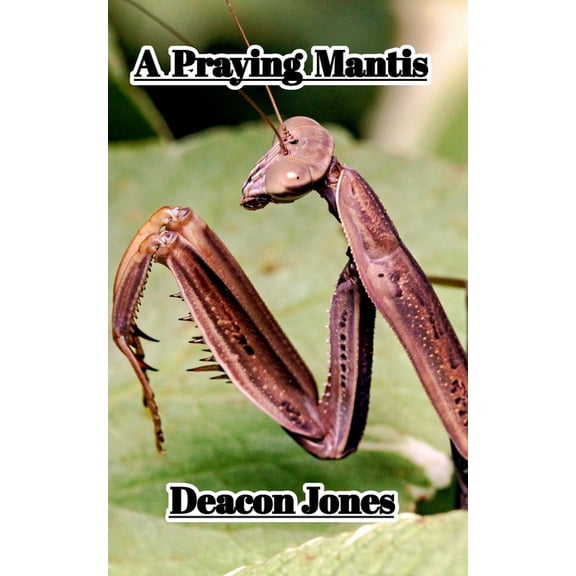 A Praying Mantis, (Paperback)