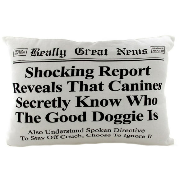 Good Doggie Throw Pillow Dog Lovers Gifts, Dog Mom, Dog Dad, Dog Accessories