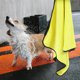 thumbnail image 4 of ADDHAT Toalla De Para Mascotas Doblable Color Amarillo Para Práctico Y, 4 of 8