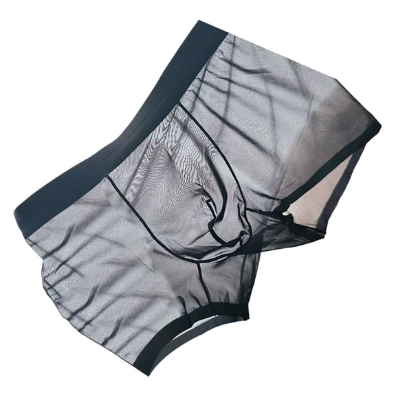 Men's Sheer Ice Silk Boxer Briefs Underwear Black L