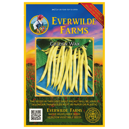 Everwilde Farms - 160 Golden Wax Yellow Bean Seeds - Gold Vault Jumbo Bulk Seed