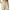 Beige, variant on Bermuda Shorts for Women Wide Leg Cotton Linen Summer Casual Long Shorts Loose High Waisted Short with Pockets
