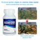 thumbnail image 2 of Limpiador De Peceras Acuario De Agua Dulce Algaecin Clarificador De Agua Ecológico Limpiador De Peceras ANGGREK Fish Tank Cleaner, 2 of 7
