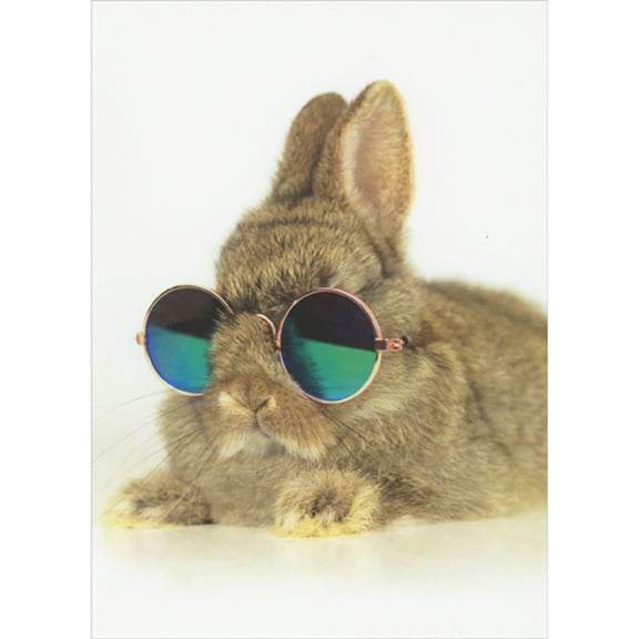 RSVP Rabbit Wearing Blue Reflective Sunglasses Funny / Humorous Easter Card