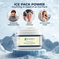 thumbnail image 3 of Gel para aliviar el dolor Sombra Cool Cold, frasco de 240 ml, 3 of 7