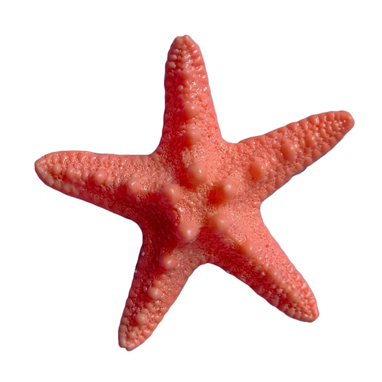 Starfish Sea Star Artificial Beach Ornament Ocean Wall Party Decor Cameras  for Photography Props Photo Background