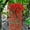 Red, variant on Artificial Hanging Plants,Hanging Flowers,Artificial Faux Hanging Flowers Plants Basket for Outdoor Outside Porch Decoration,UV Resistant Fake Silk Purple Morning Glory Trailing Vines(White)