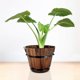 thumbnail image 3 of Yardwe Wooden Round Barrel Planter Flower Pots Home Office Garden Wedding Decor (Brown), 3 of 4