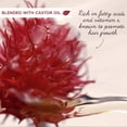 thumbnail image 3 of Garnier Whole Blends Shampooing Remède Huile de Ricin, 650 mL, 3 of 6