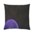 thumbnail image 2 of Ahgly Company Color Focus Black Coussin Décoratif d'Extérieur, 18 Po X 18 Po, 2 of 6