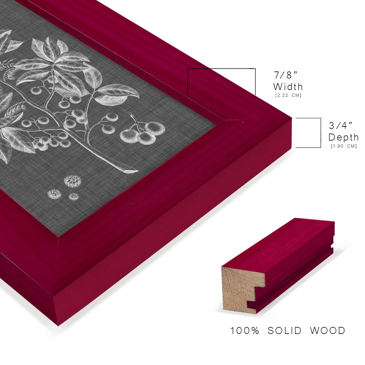 Graphic Foliage VI - Framed Print w/glass - Cherry Red