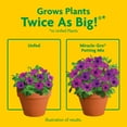thumbnail image 5 of Miracle-Gro Potting Mix, For Indoor or Outdoor Potted Plants, Flowers, Shrubs, 8 qt., 5 of 11