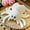 White, variant on Spider Stuffed Animal Toy Pillows，9.8inch Soft Realistic Spider Pillows，Huggable Jumping Spiders,Adorable Pillow Toy Doll for Kids Room Decor, (White)