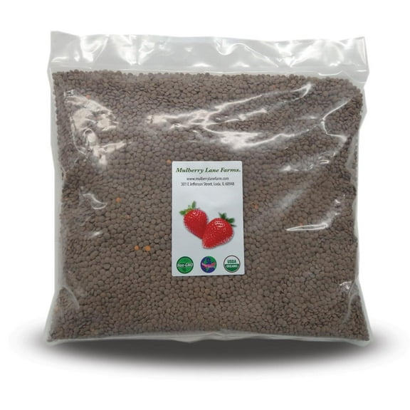 Brown Lentils 10 lbs (Ten Pounds) USDA Certified Organic, Non-GMO, Bulk, by Mulberry Lane Farms