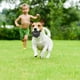 thumbnail image 2 of 2 juguetes interactivos con forma de neumático y sonido chirriante para mascotas, mordedores y masticables, para perros y cachorros, para una diversión interactiva y masticables, 2 of 7