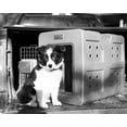thumbnail image 2 of Dakota 283 G3 Framed Door Dog Kennel - Small - Olive, 2 of 7