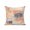 Orange, variant on Waterproof Outdoor Throw Pillows with Inserts 18"x18", Orange Blue Soft Decorative Pillowcases for Couch Bedroom, Minimalist Smear Abstract Art Painting Pillow Covers for Sofa Living Room