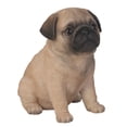 thumbnail image 2 of Pacific Giftware Adorable Seated Pug Puppy Collectible Figurine Amazing Dog Likeness Hand Painted Resin 6.5 inch Figurine Great for Dog Lovers Tabletop Decor, 2 of 4