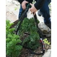 thumbnail image 6 of Nuvue Products 32201 Folding Mesh Pest Guard Plant Cover, 31" W x 31" L x 33" H - 2 Pack, 6 of 6