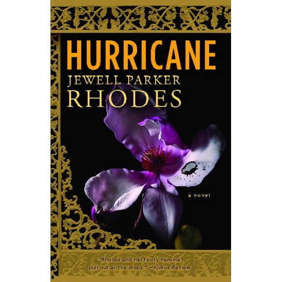Hurricane : A Novel (Paperback)