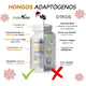 thumbnail image 3 of Hongos Adaptógenos InstaNutra  100% Natural Sin azúcar Keto 90 cápsulas, 3 of 8