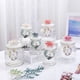 thumbnail image 3 of Decoración hogareña Gwong 240ml Transporte transparente Tarra de vidrio de cerámica Tapa delicada Multiumply Bearsthight Suplementos de cocina Gwong 21082640, 3 of 6