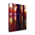 thumbnail image 4 of Trademark Fine Art "Carnelian Morning" Canvas Art by Mandy Budan, 4 of 4