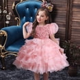 thumbnail image 4 of Vestido de niña, vestido de princesa, mangas abullonadas, vestido de terciopelo con lentejuelas, disfraz de baile del Día del Niño 61, 4 of 6