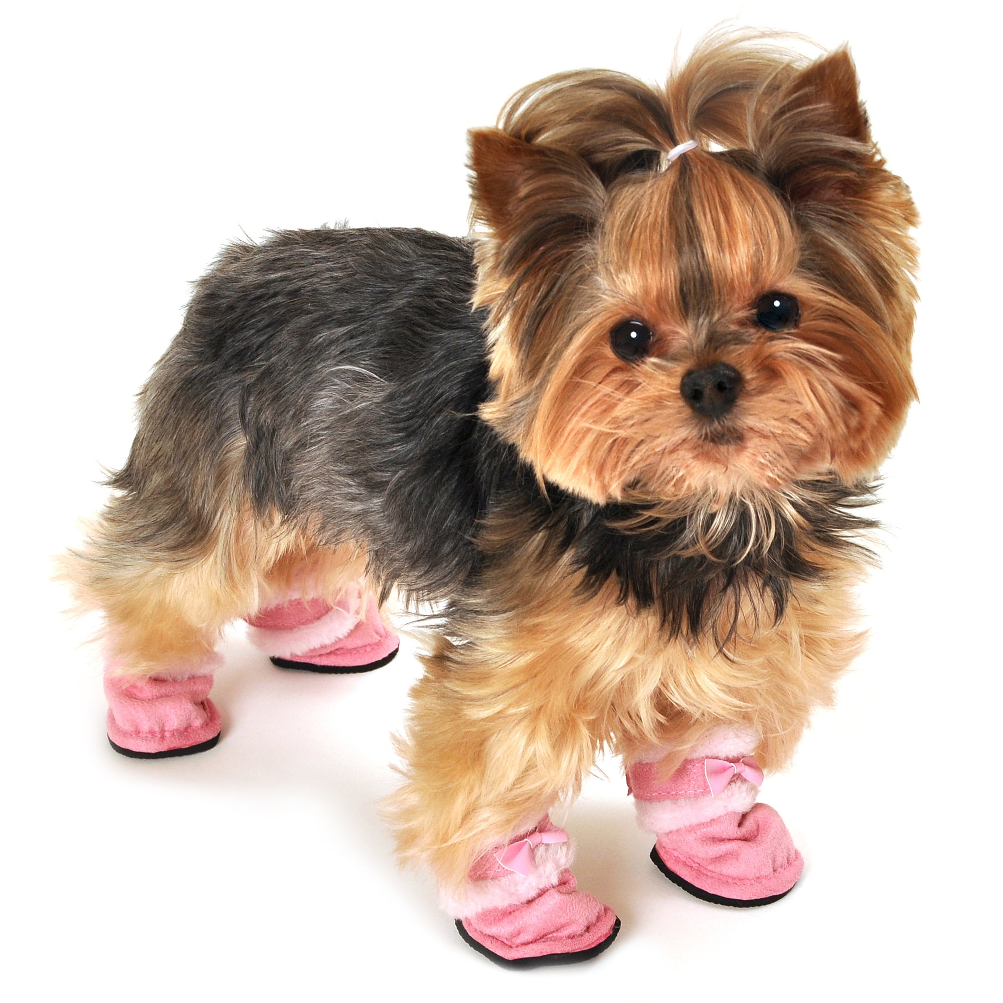 dog booties walmart