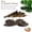 2PCS 15-20CM, variant on Driftwood Aquarium Decoration 1/2pcs Natural Wood Branch for Fish Tank, Reptile Habitat Climbing Hideout & Aquascape Decor