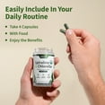 thumbnail image 4 of Snap Supplements Organic Chlorella Spirulina Capsules - Plant Vitamins, Super Greens, 120 Capsules, 2-Pack, 4 of 8