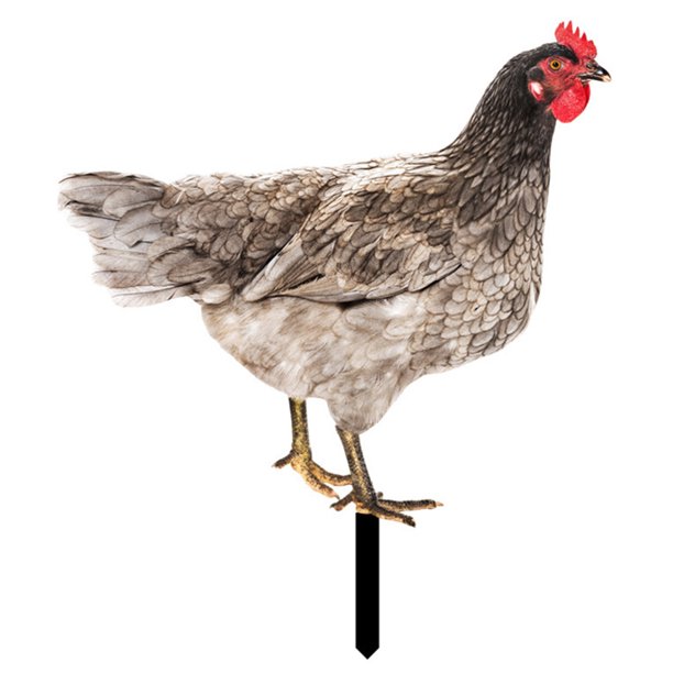 Rooster Decor Realistic Lifelike Ornamental Doublesided Printing Acrylic Garden Statue Chicken