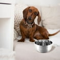 thumbnail image 1 of OHOIOLLA Insertos Multifuncionales Para Alimentación Perros Que Ayudan A Digestión Y Controlada, 1 of 6