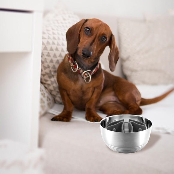 OHOIOLLA Insertos Multifuncionales Para Alimentación Perros Que Ayudan A Digestión Y Controlada