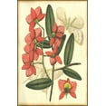 thumbnail image 2 of Unknown 11x14 White Modern Wood Framed Museum Art Print Titled - Floral Fantasia III, 2 of 4