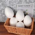 thumbnail image 3 of 5pcs Painting Egg DIY Easter Decor Solid Egg for Kid Festival Craft (White, 15cm), 3 of 3