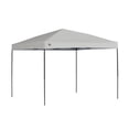 thumbnail image 1 of Quik Shade 167599DS 10 x 10 Pi ST100 Baldaquin Jambe Droite - Gris & Noir, 1 of 1