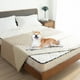 thumbnail image 2 of Funda de cama para perros, impermeable, 100% gogobunny de doble cara, 2 of 7