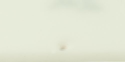 Pickguard For Fender Standard Strat - Trans Milk White