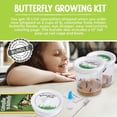 thumbnail image 4 of Kit de Mariposas Nature Gift Store 10 Orugas con Jaula, 4 of 8
