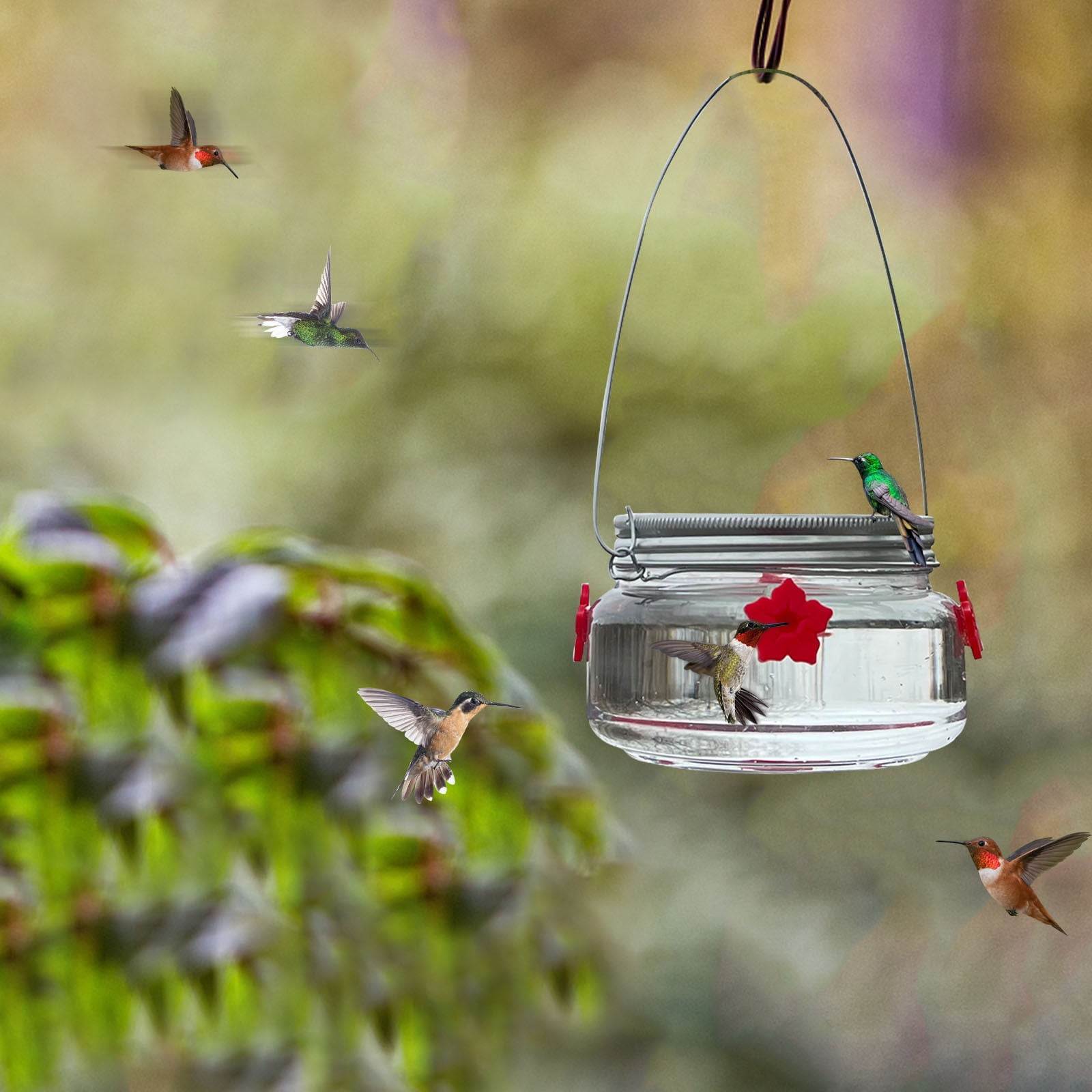 Stijggn Hummingbird Feeders for Outdoors Capacity Recycled Plastic Flat Mealworm Bird Feeder Tray for Wild Backyard Attracting Birds