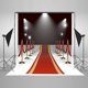 thumbnail image 1 of Telón de fondo Iluminación ABPHQTO 150x220cm brillo Alfombra roja Escenario Niños Recién nacido fotografía fondo, 1 of 2