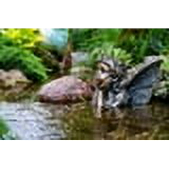 Aquascape Fairy Planter and pond Spitter