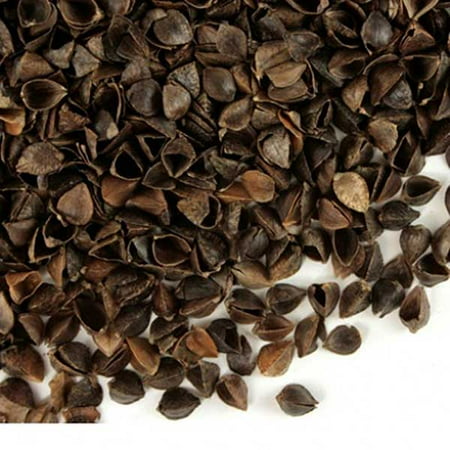 Bucky All Natural Buckwheat Hulls Pillow Refill 1 Lbs Walmart Com