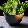 thumbnail image 5 of Mobutofu Simple Design Vegetable Serving Bowl Black Anti-corrosion for Food Serving 1Pack, 5 of 5
