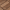 Brown, variant on Alden Design 27pcs Indoor & Outdoor Wood Flooring Tiles for Patio Garden, 12" x 12", Brown