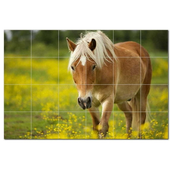 Horse Ceramic Tile Mural Kitchen Backsplash Bathroom Shower, 402826-XL64