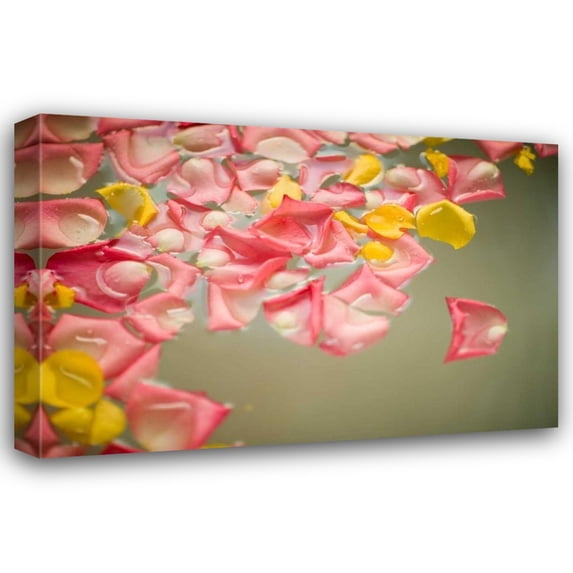 Karyn Millet 24x17 Gallery Wrapped Canvas Wall Art Titled - Rose Petals
