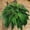 C, variant on A Rtificial B Oston Fern Leaves D Ecor Lifelike Faux Greenery S Tems for Vase Arrangements (28/38/60/88 Leaves) Multiple Sizes 60X50Cm To 110X90Cm